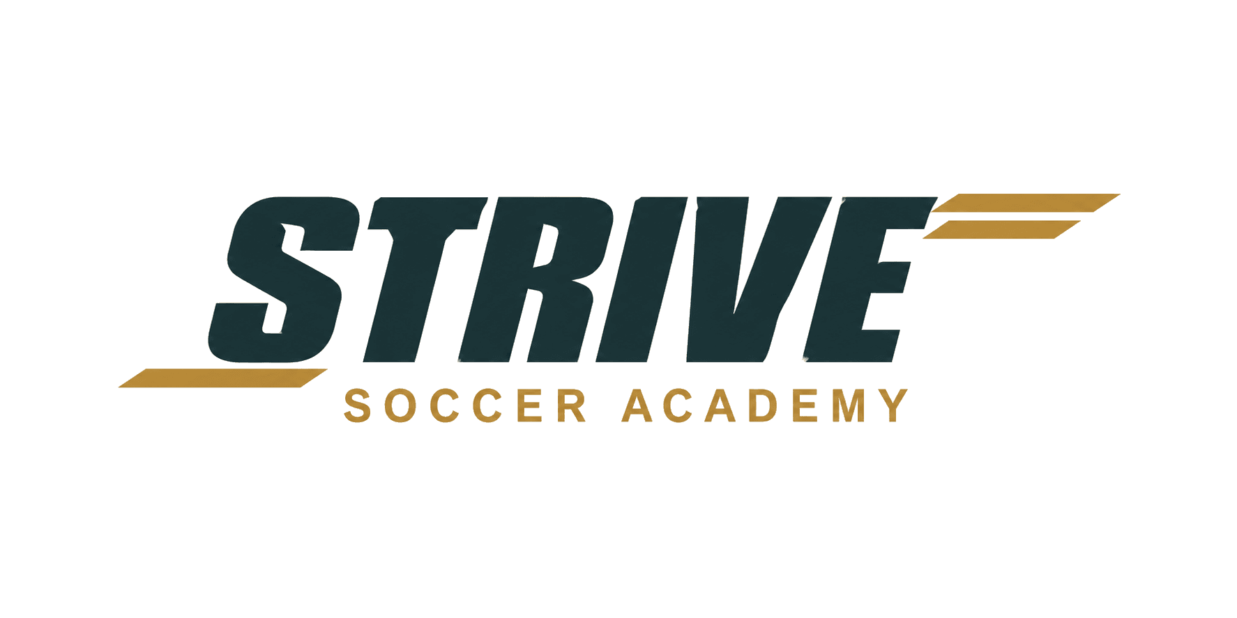 Strive Soccer Academy